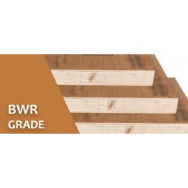 Flush Door BWR 100% Water Proof Grade 25mm to 45mm ISI 2202 Pine wood  Gurjan Face