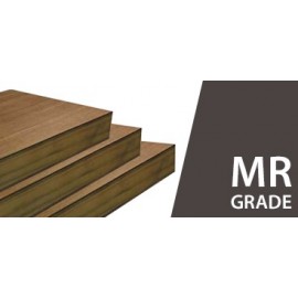 Flush Door MR Grade 25mm to 45mm ISI 2202 Pine wood  Gurjan Face