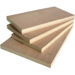 Commercial Mr grade Gurjan face 18mm plywood economic Grade 