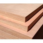 Intezia 12mm BWR Plywood – 11 Ply, India’s First Calibrated Sheet